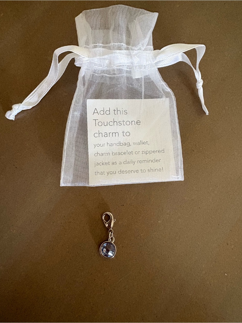 Touchstone Crystal Silver Charm with Clear/Light Blue Crystal